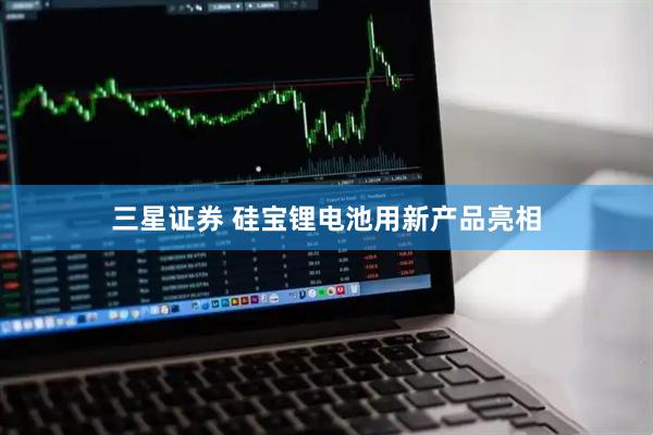 三星证券 硅宝锂电池用新产品亮相