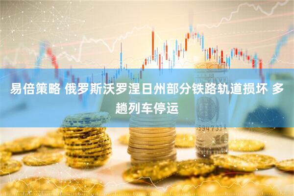 易倍策略 俄罗斯沃罗涅日州部分铁路轨道损坏 多趟列车停运