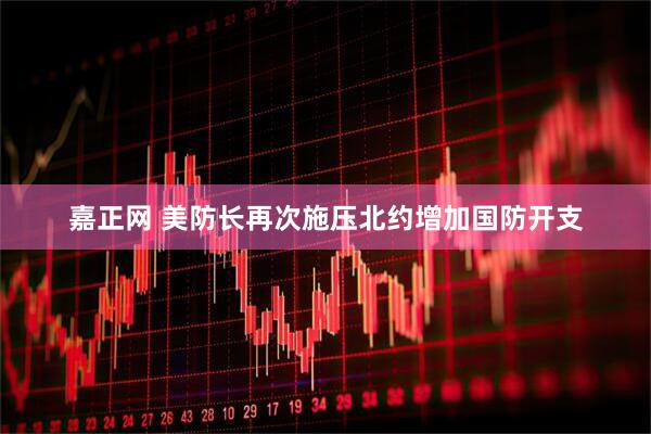 嘉正网 美防长再次施压北约增加国防开支