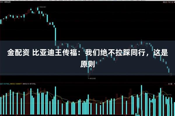 金配资 比亚迪王传福：我们绝不拉踩同行，这是原则
