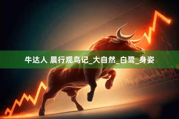 牛达人 晨行观鸟记_大自然_白鹭_身姿